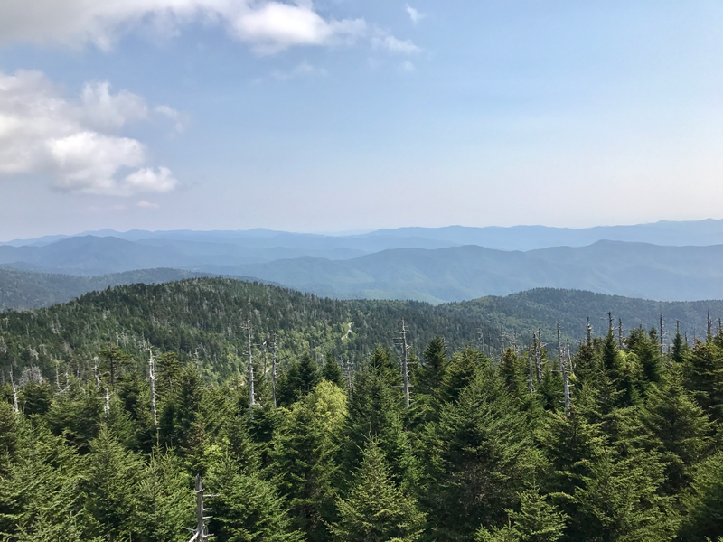Illustration for article titled Clingmans Dome. Highest point in the Smokies.
